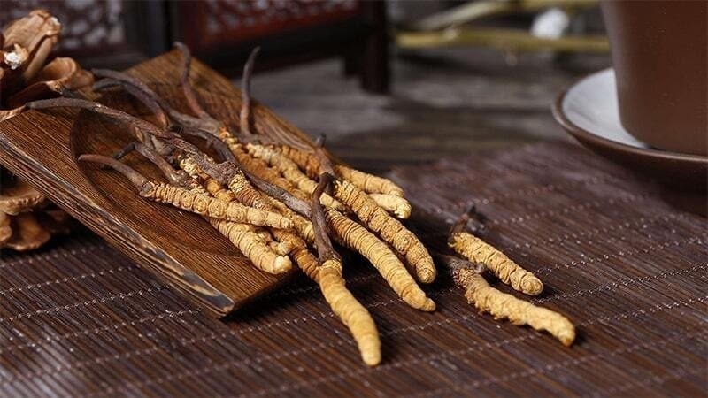 Các nghiên cứu khoa học về giảm cân đông trùng hạ thảo