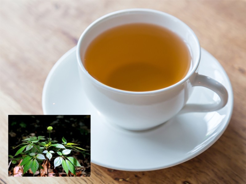 Cách Sử Dụng Lá Nhân Sâm Hiệu Quả