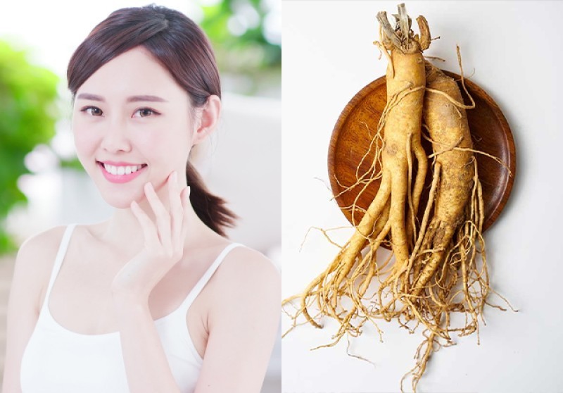 Nhân sâm Hàn Quốc trong công nghệ sinh học và đời sống hiện đại