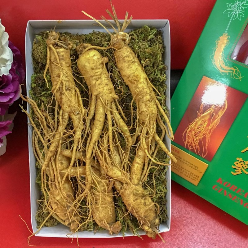 Phân biệt nhân sâm Hàn Quốc chính hãng
