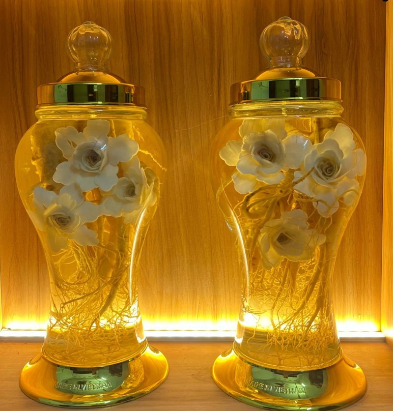 Đôi nét về rượu nhân sâm