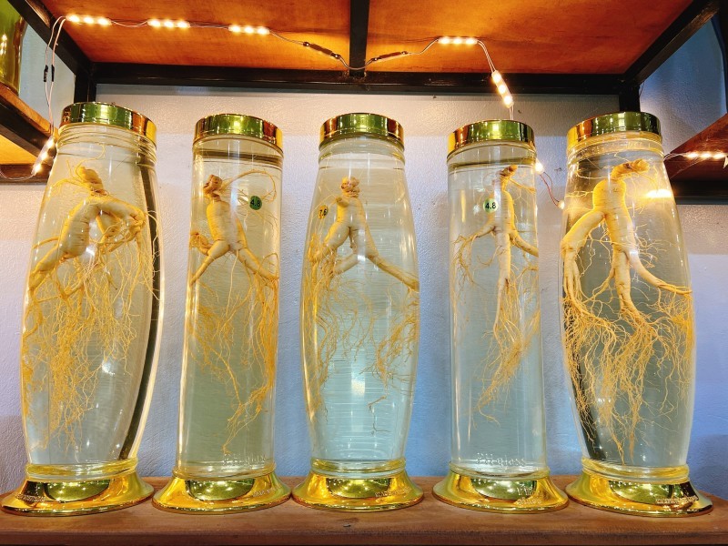 Cách Sử Dụng Rượu Nhân Sâm Hàn Quốc Và Những Lưu Ý Quan Trọng