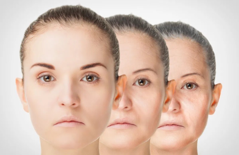 Những Lợi Ích Đáng Kinh Ngạc Của Trà Đông Trùng Hạ Thảo