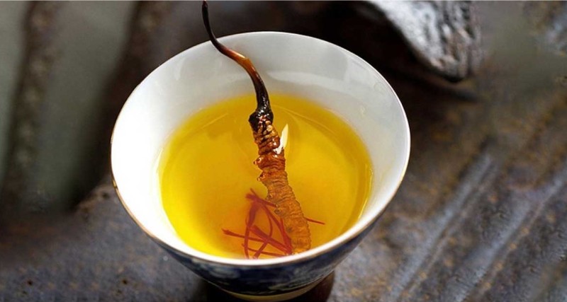 Cách Sử Dụng Trà Đông Trùng Hạ Thảo Đúng Cách Để Tối Ưu Hiệu Quả