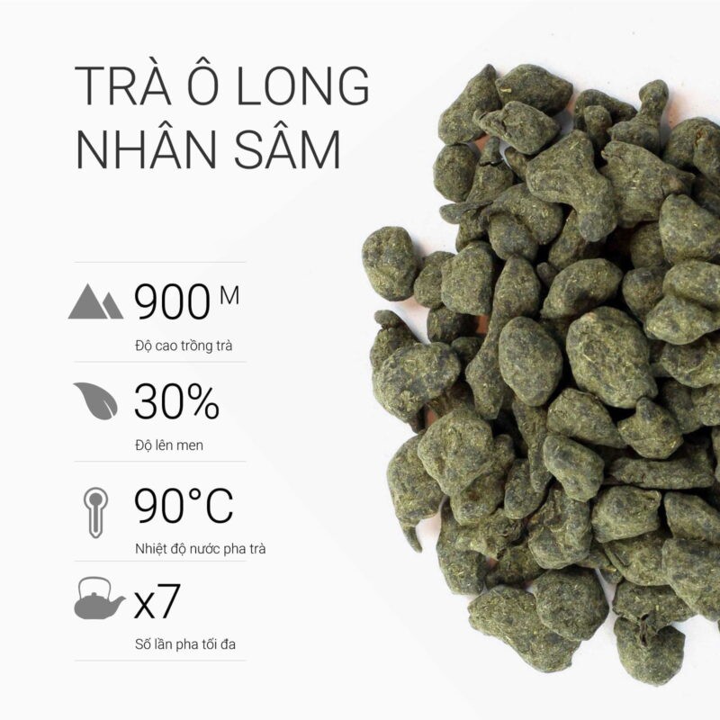Cách chọn và sử dụng trà ô long nhân sâm đúng chuẩn
