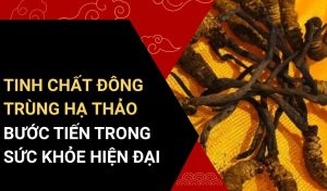 Tinh chất đông trùng hạ thảo