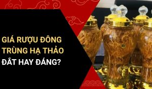 rượu đông trùng hạ thảo giá bao nhiêu