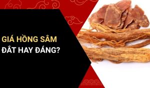 Giá Hồng Sâm