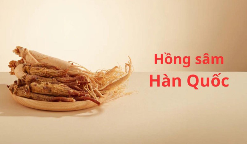 Thế nào là hồng sâm?