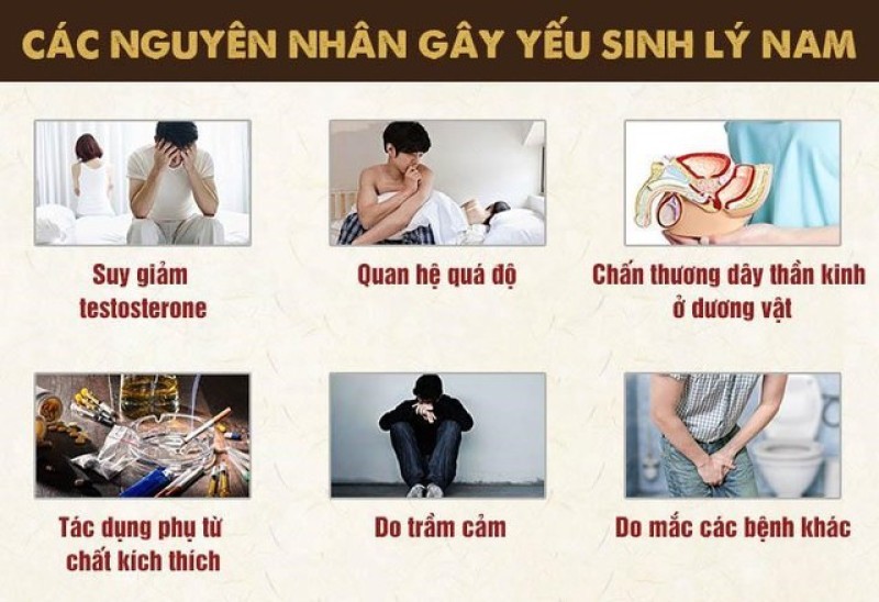 Nguyên Nhân Gây Ra Hiện Tượng Yếu Sinh Lý Ở Nam Giới
