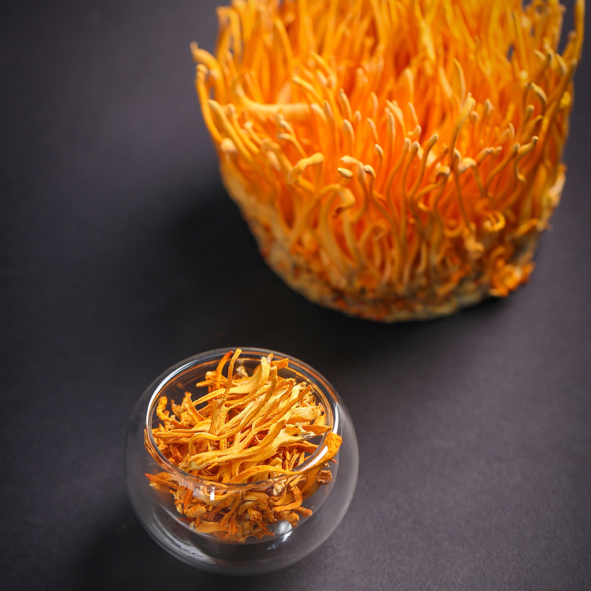 Các Dạng Sử Dụng Phổ Biến Của Đông Trùng Hạ Thảo