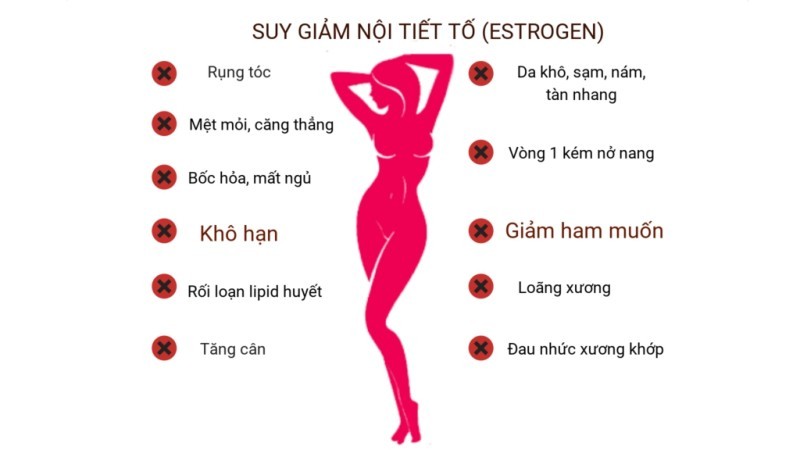 Khi nào estrogen bị rối loạn? Nhận biết dấu hiệu sớm