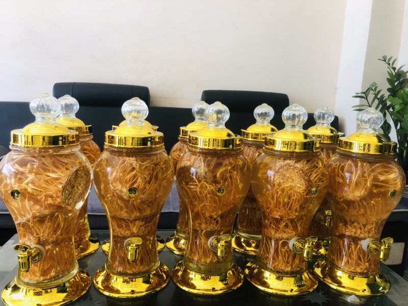  Rượu Đông Trùng Hạ Thảo Là Gì?