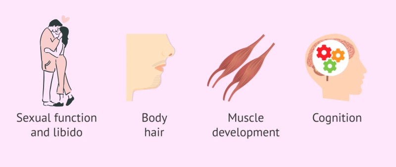 Tác động của testosterone lên sức khỏe nữ giới