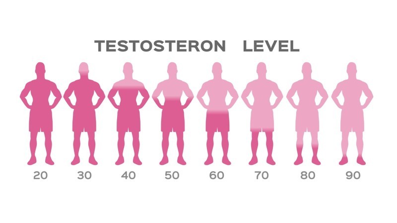 Dấu hiệu thiếu hụt testosterone ở cả hai giới và cách cải thiện
