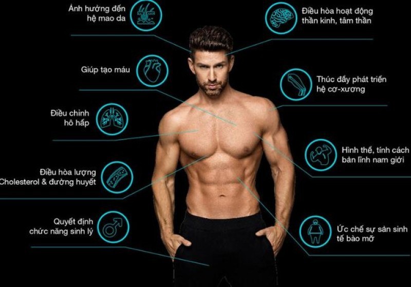 Tác động của testosterone lên sức khỏe nam giới