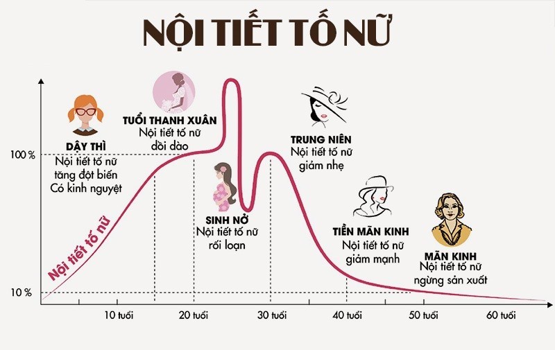 Rối loạn nội tiết tố nữ: Khi nào cần lưu ý?