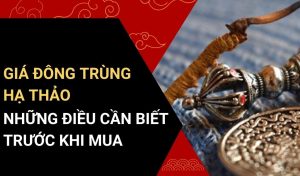 giá đông trùng hạ thảo