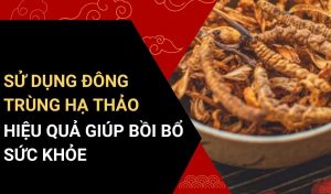 cách sử dụng đông trùng hạ thảo