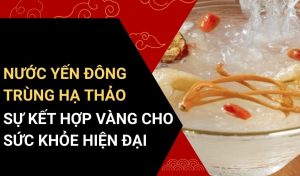 nước yến đông trùng hạ thảo