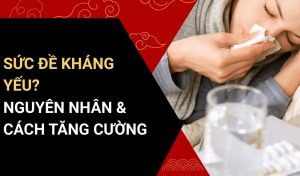 sức đề kháng yếu