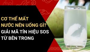 cơ thể mất nước nên uống gì