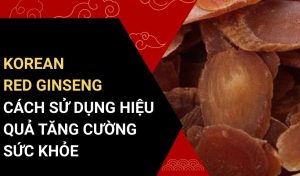 korean red ginseng cách sử dụng