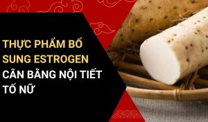 thực phẩm bổ sung estrogen