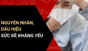 sức đề kháng yếu