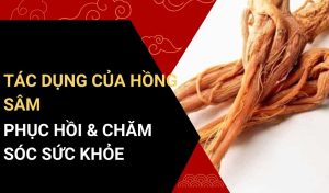 tác dụng của hồng sâm