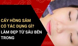 cấy hồng sâm có tác dụng gì