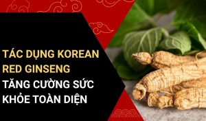 korean red ginseng có tác dụng gì