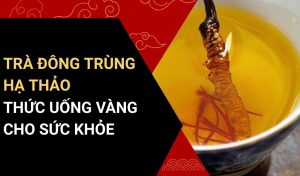 trà đông trùng hạ thảo