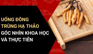 uống đông trùng hạ thảo có tác dụng gì