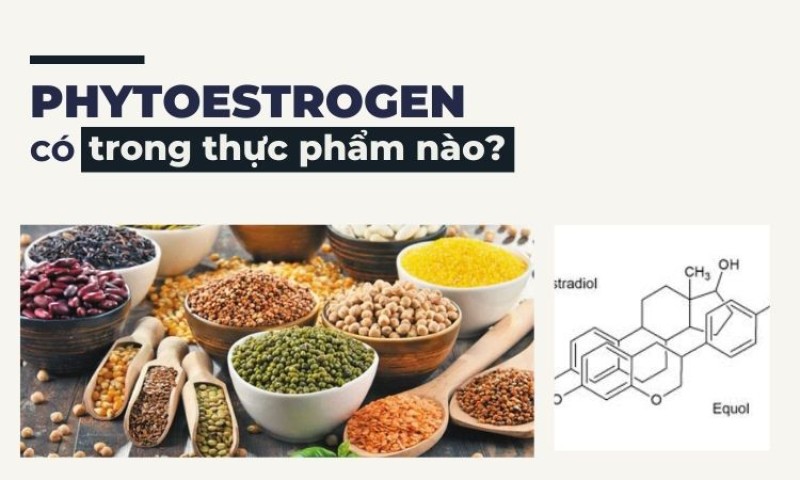 Thực Phẩm Giàu Phytoestrogen – Giải Pháp Tự Nhiên Từ Thực Vật