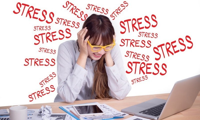 Từ Hệ Thần Kinh Đến Hệ Miễn Dịch: Khi Căng Thẳng Làm Loạn Cả Cơ Thể