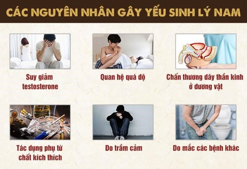Nguyên Nhân Gây Yếu Sinh Lý Ở Nam Giới