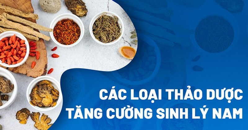 Sử dụng các loại thảo dược tự nhiên giúp tăng cường sinh lý nam