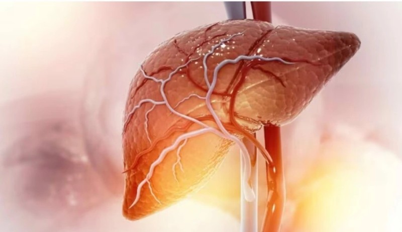 Gan nhiễm mỡ, rối loạn chuyển hóa gan