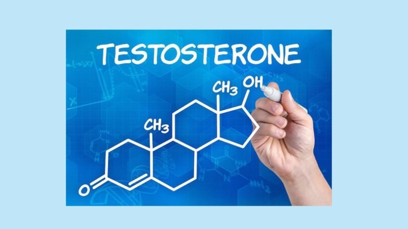 Vai trò của hormone testosterone ở nữ giới