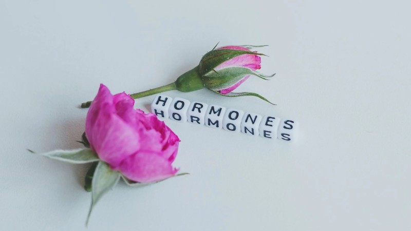 Nội Tiết Tố Nữ – Không Chỉ Là Hormone Sinh Lý