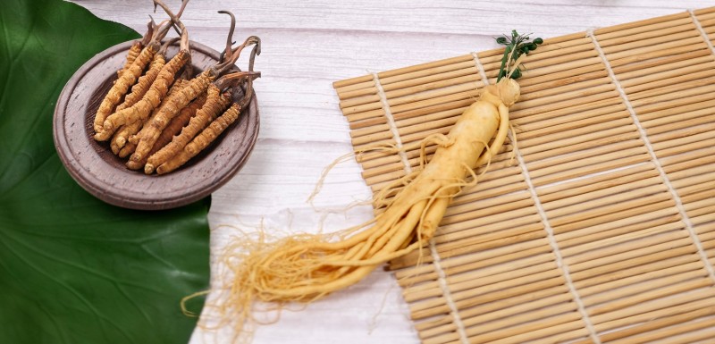 Đông trùng hạ thảo và hồng sâm: Bộ đôi hoàn hảo cho sức khỏe toàn diện