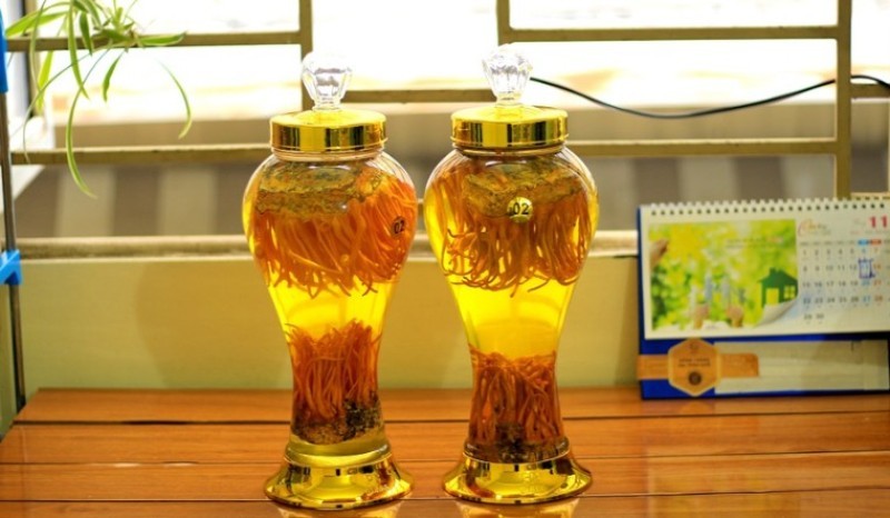 Rượu Đông Trùng Hạ Thảo Là Gì?