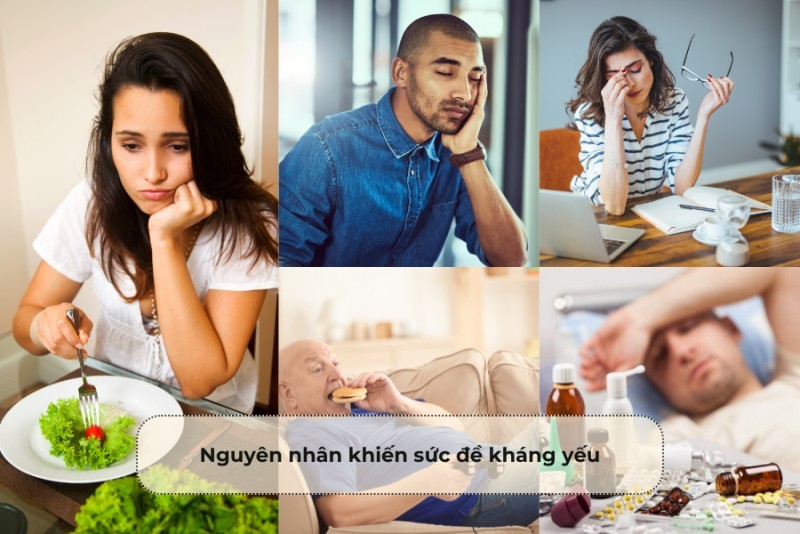 Nguyên nhân dẫn đến sức đề kháng yếu
