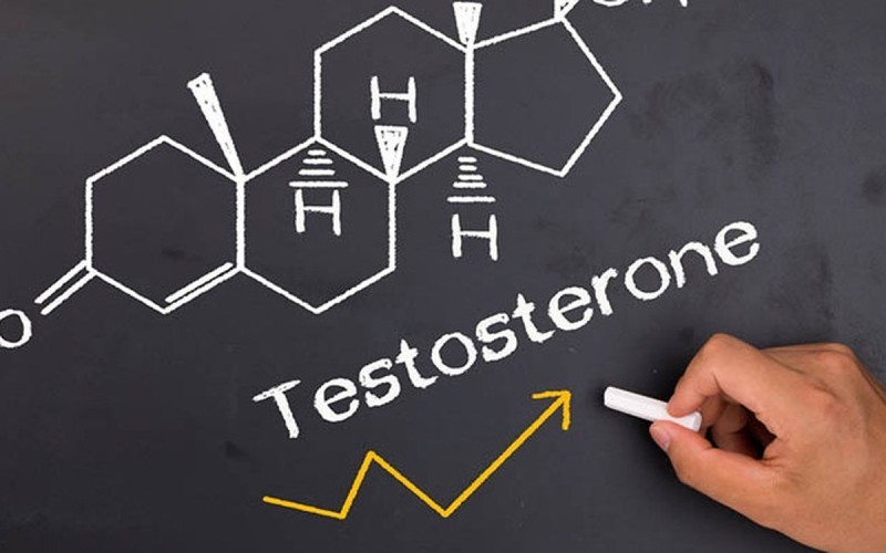 Testosterone ảnh hưởng thế nào đến chức năng sinh lý nam giới?