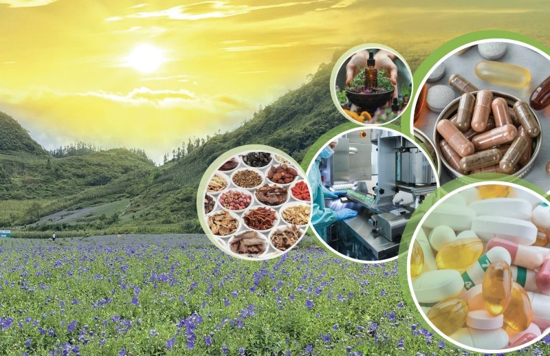 Thực phẩm chức năng Hàn Quốc – Sự kết hợp giữa truyền thống và hiện đại