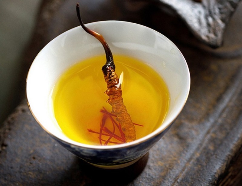 Trà Đông Trùng Hạ Thảo Vì Sao Được Ưa Chuộng?