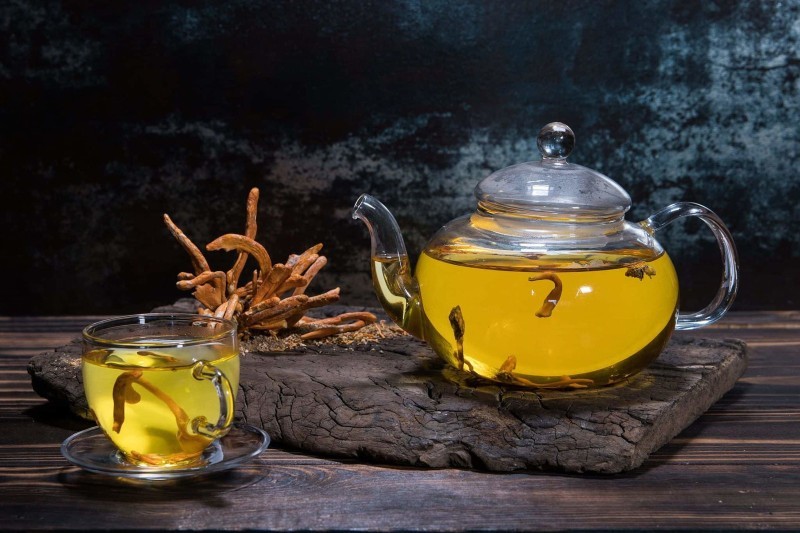 Cách Dùng Trà Đông Trùng Hạ Thảo Để Tối Ưu Hiệu Quả