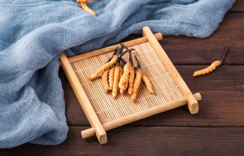 Đông Trùng Hạ Thảo Tăng Hiệu Suất Tế Bào