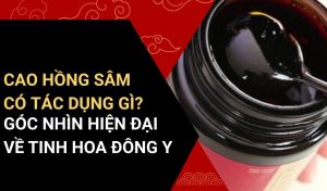 cao hồng sâm có tác dụng gì